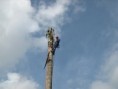 /album/roque-cabaleleiro/imagem-roque-cabeleleiro-11-jpg1/